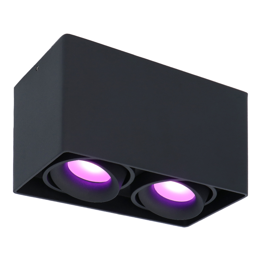 Esto Smart Opbouwspot- 2 spots - Kantelbaar - RGBWW - Wifi + Ble - IP20 - GU10