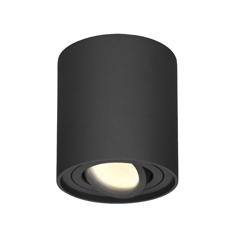 Ray LED Opbouwspot- 4W 345lm - Kantelbaar - 2700K - IP20 - Dimbaar - GU10