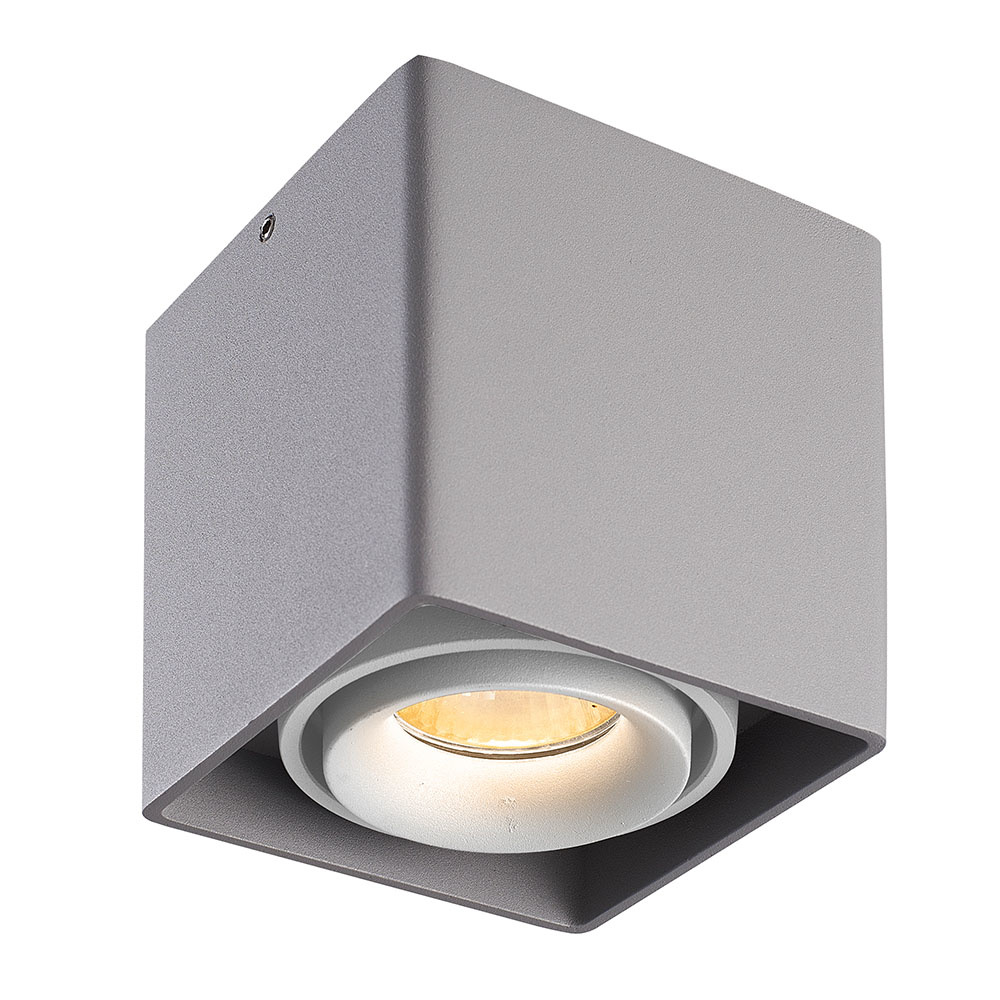 Dimbare LED Opbouwspot plafond Esto - IP20 - kantelbaar - excl. GU10
