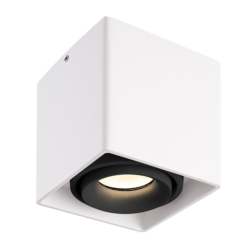 Dimbare LED Opbouwspot plafond Esto - IP20 - kantelbaar - excl. GU10