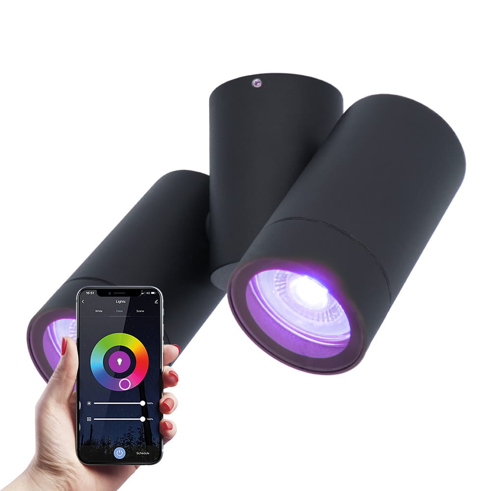 Silva Smart LED Plafondlamp - Kantelbaar - RGBWW - WiFi & Bluetooth - 2-Lichts - GU10 - IP65 - Zwart - Bestuurbaar via App - Google Home, Amazon Alexa en Siri afbeelding