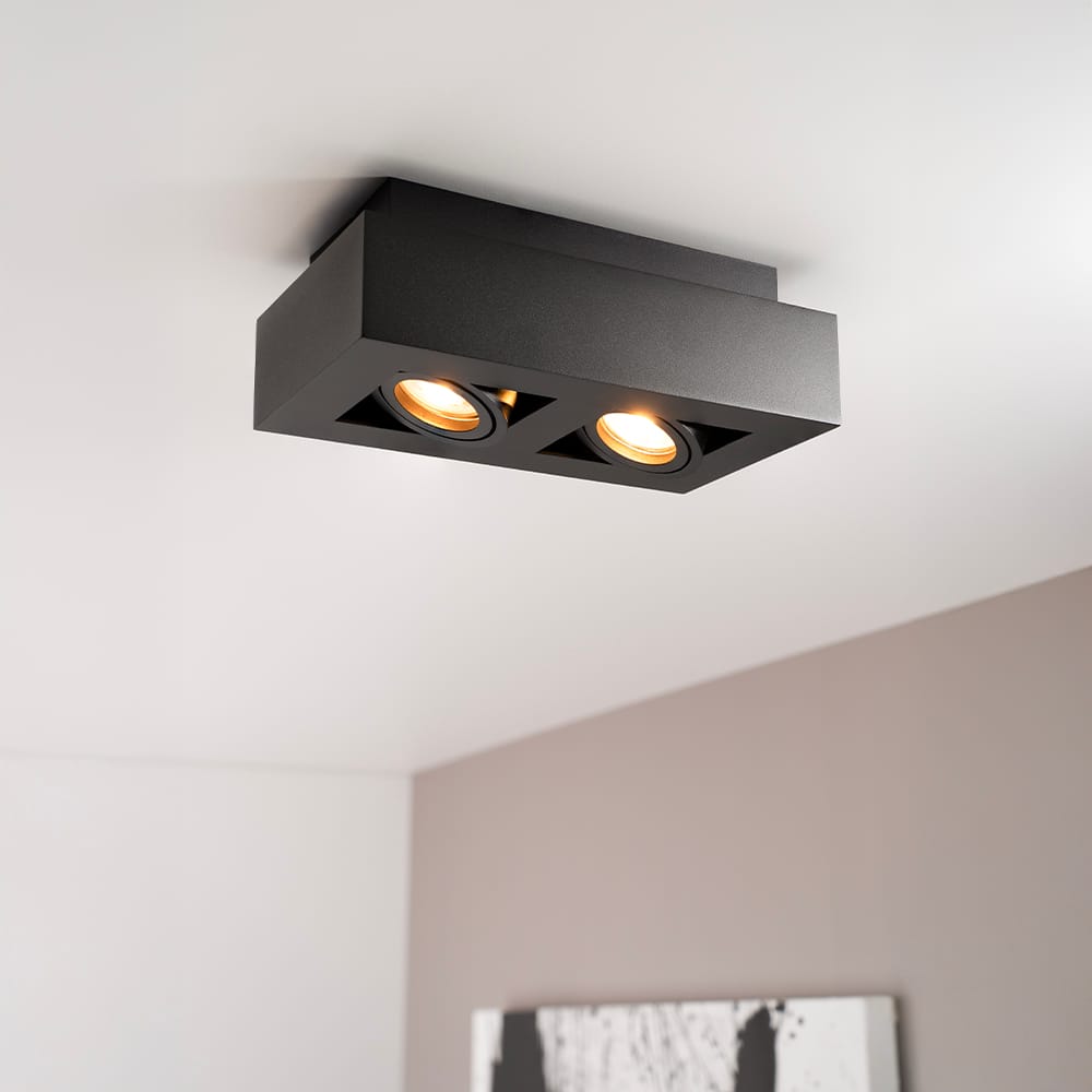 Pollux nero II by LUSENZ - Rechthoekige 2-lichts plafondlamp met richtbare spots, matzwarte coating en interieur afbeelding 1