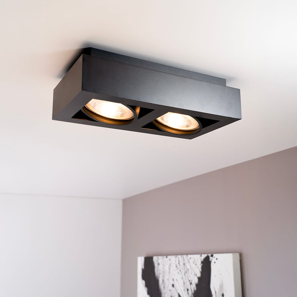 Castor nero II by LUSENZ - Rechthoekige 2-lichts plafondlamp met richtbare spots en matzwarte coating afbeelding