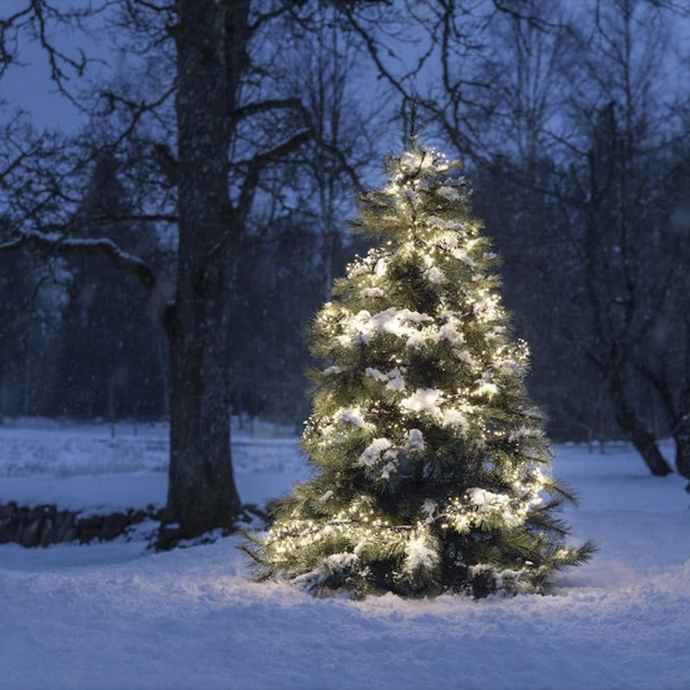 Clusterverlichting voor binnen en buiten - 1152 LEDs - 8.6 meter afbeelding