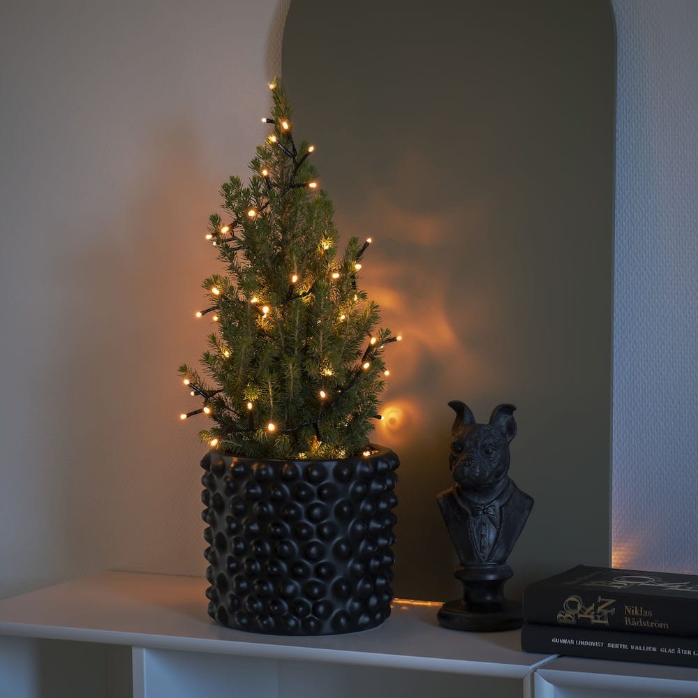 Clusterverlichting voor binnen - 200 LEDs - 4.5 meter afbeelding