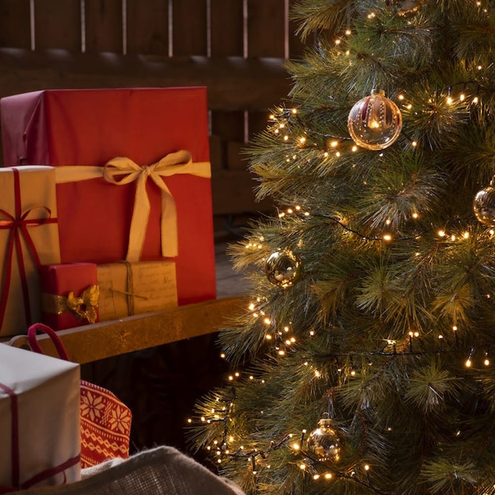 Clusterverlichting voor binnen - Frosted - 400 LEDs - 9 meter afbeelding