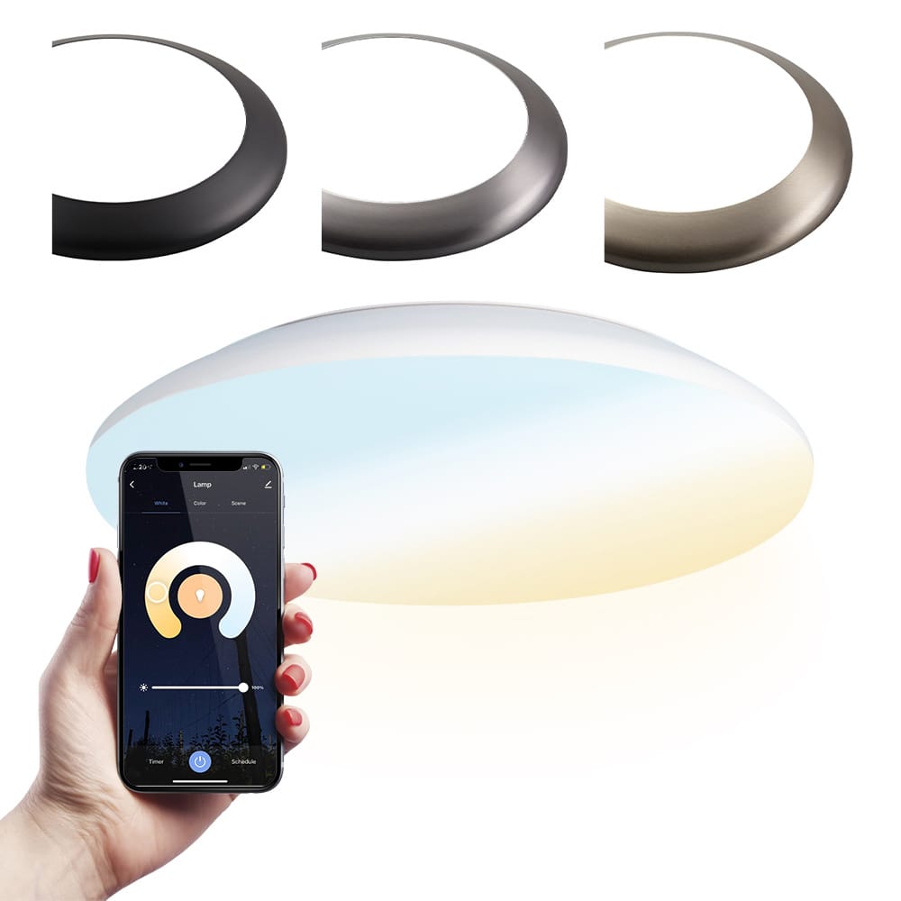 Smart plafondlamp - Bulkhead - 18 Watt - 1800 lumen - Ø30cm - IP65 waterdicht - CCT White ambience - Wifi + Bluetooth - Google Home, Amazon Alexa en Siri - RVS afbeelding
