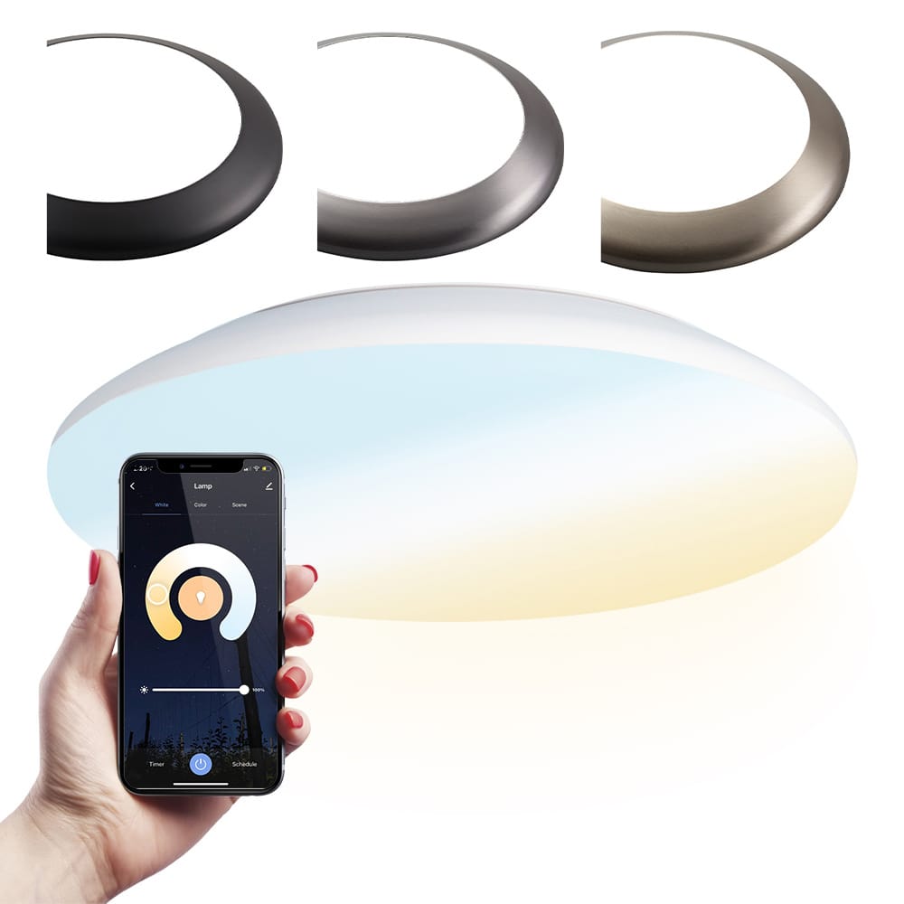 Smart plafondlamp - Bulkhead - 25 Watt - 2600 lumen - Ø38cm - IP65 waterdicht - CCT White Ambience - Wifi + Bluetooth - Google Home, Amazon Alexa en Siri - RVS afbeelding