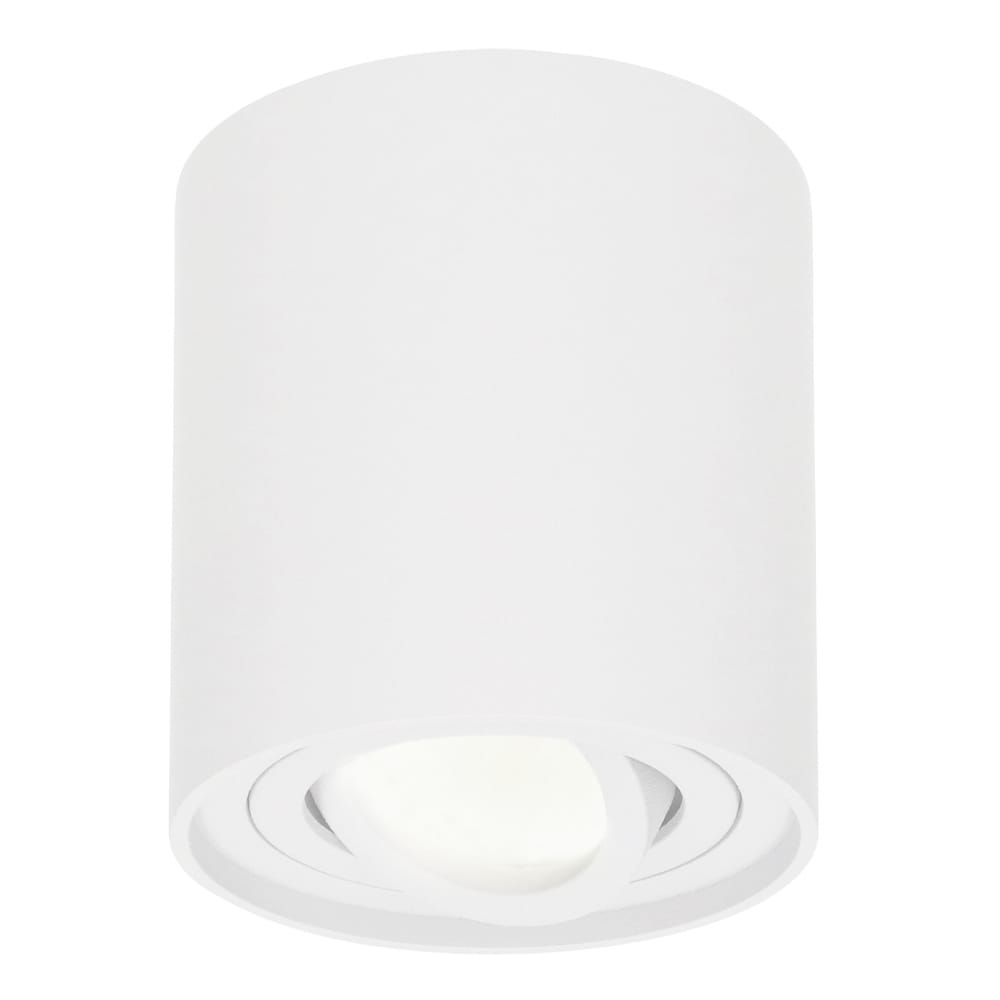Ronde LED Opbouwspot Ray 4 Watt 345 Lumen 4000K neutraal wit Kantelbaar GU10 Opbouwspot IP20 Voor binnen Wit Dimbaar
