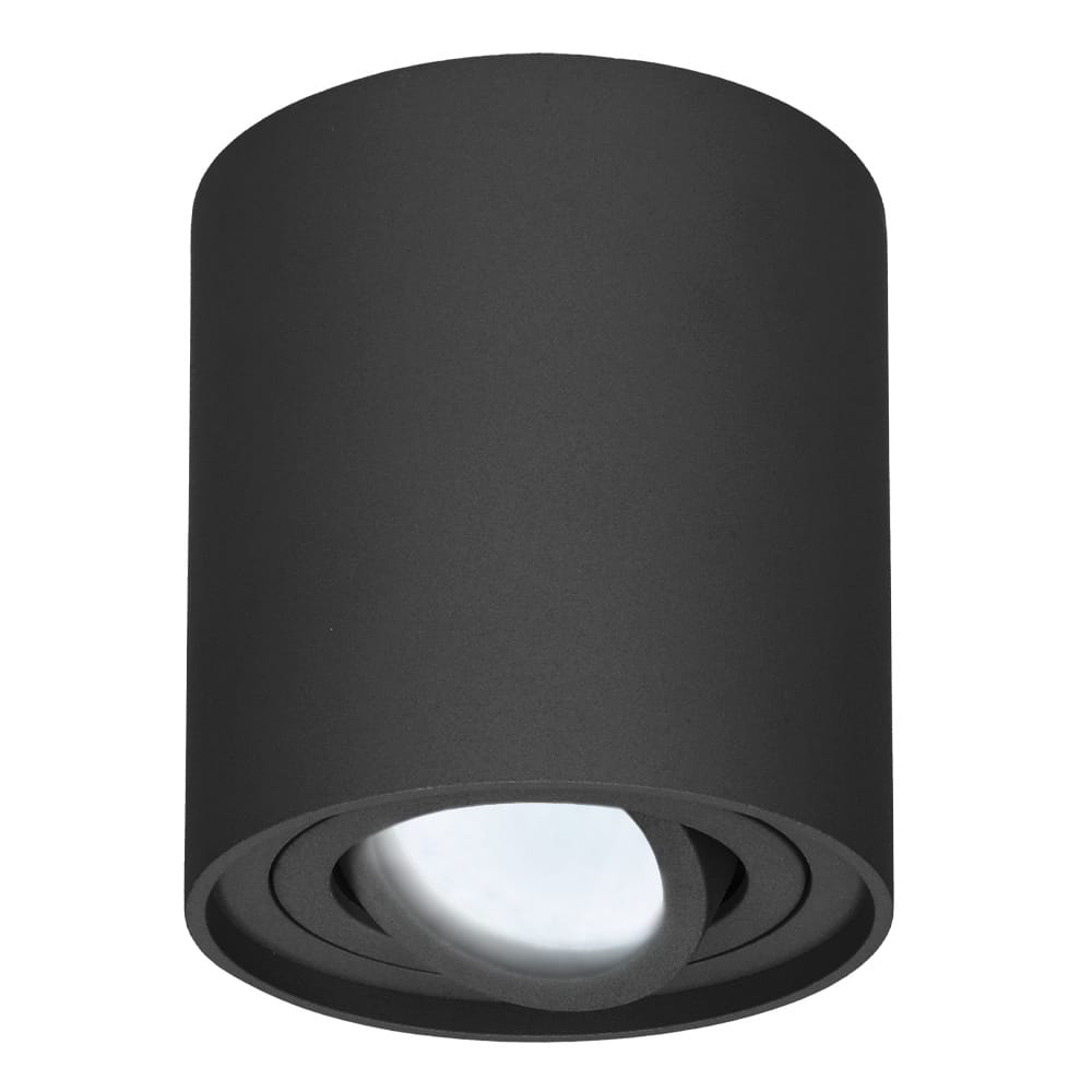 Ronde LED Opbouwspot Ray 4 Watt 345 Lumen 6500K daglicht wit Kantelbaar GU10 Opbouwspot IP20 Voor binnen Zwart Dimbaar