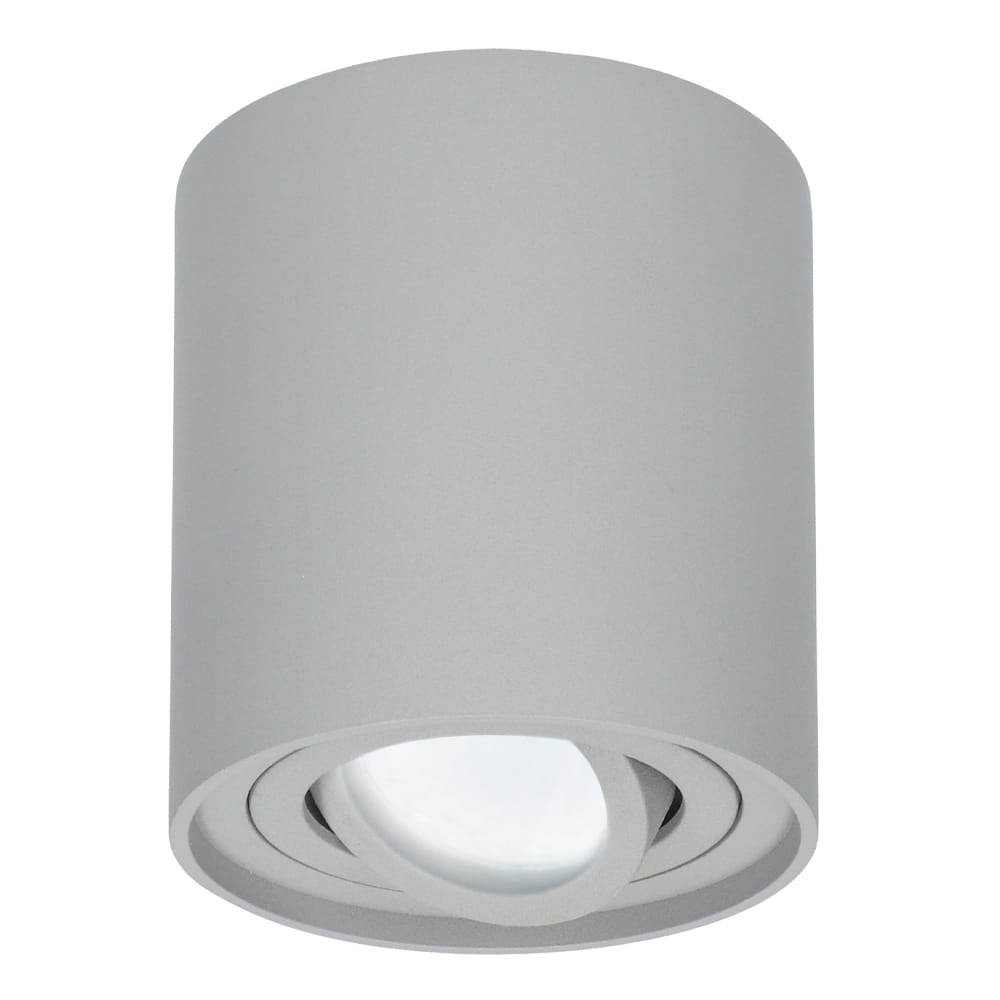 Ronde LED Opbouwspot Ray - 5 Watt 400 lumen - 6000K daglicht wit - Kantelbaar - GU10 - Opbouwspot - IP20 Voor binnen - Grijs - Dimbaar afbeelding
