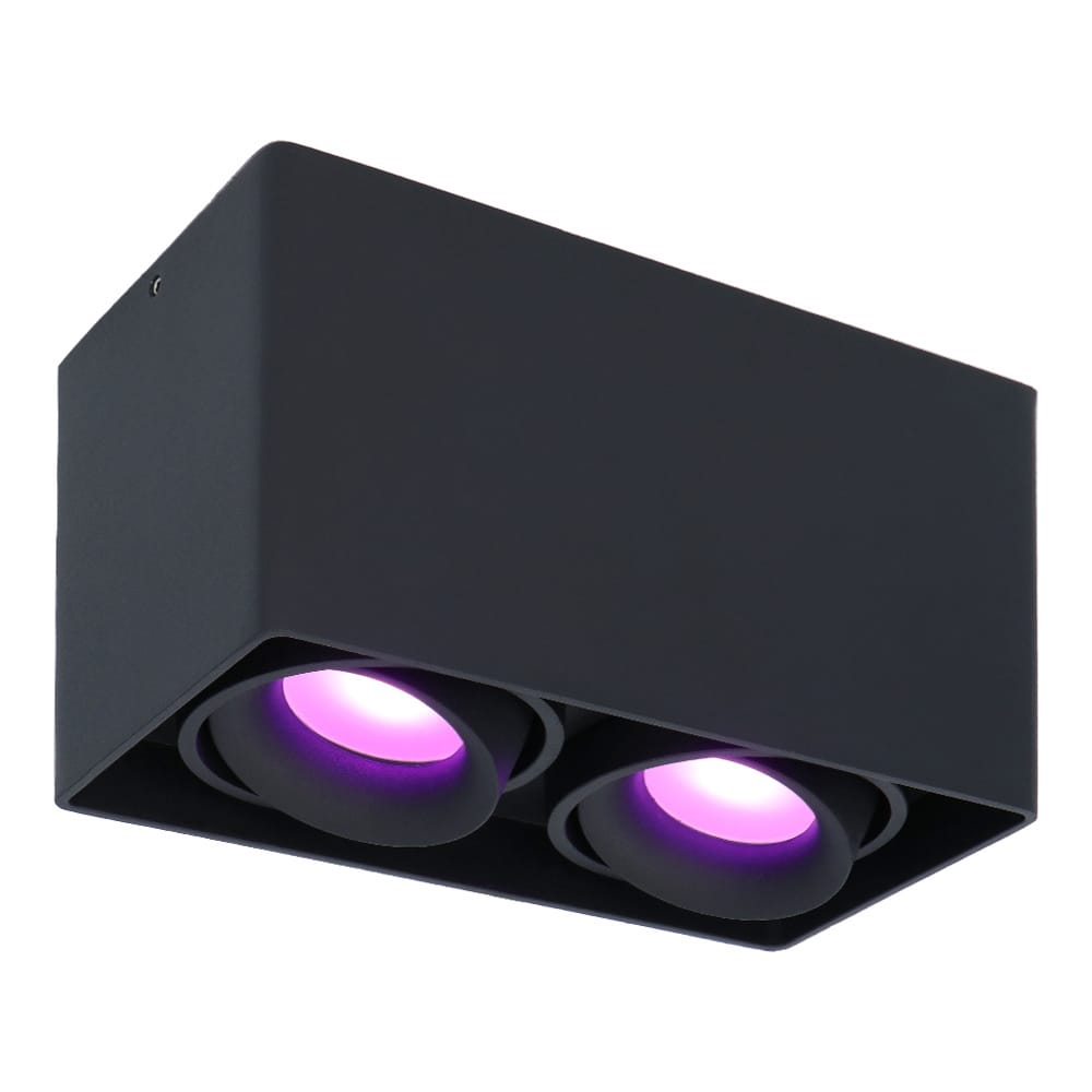 Esto smart Opbouwspot Vierkant Plafondspot 2 Lichts Kantelbaar RGBWW Wifi Bluetooth Google Home, Amazon Alexa en Siri Zwart Bestuurbaar via App en Stem