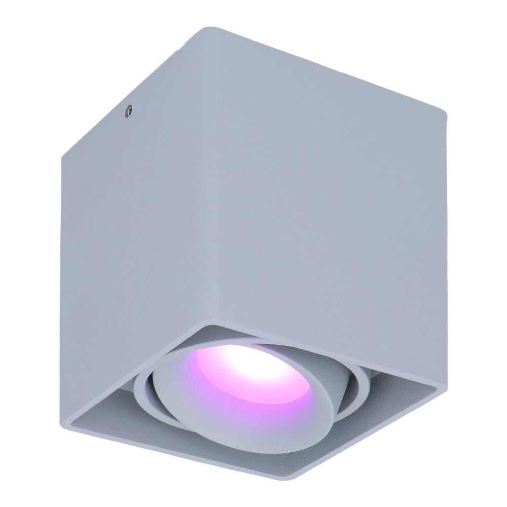 Esto smart Opbouwspot - Vierkant - Plafondspot - Kantelbaar - RGBWW - Wifi + Bluetooth - Google Home, Amazon Alexa en Siri - Grijs - Bestuurbaar via App en Stem afbeelding