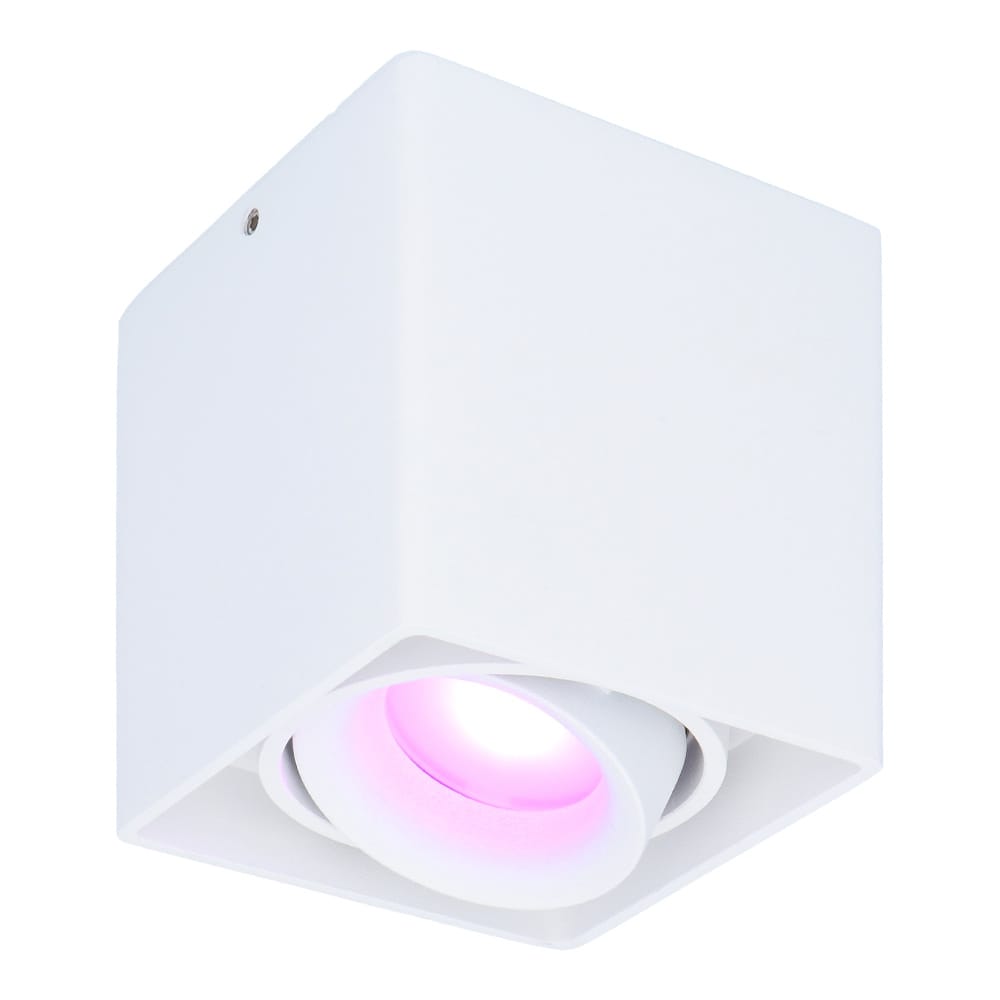 Esto smart Opbouwspot Vierkant Plafondspot Kantelbaar RGBWW Wifi Bluetooth Google Home, Amazon Alexa en Siri Wit Bestuurbaar via App en Stem