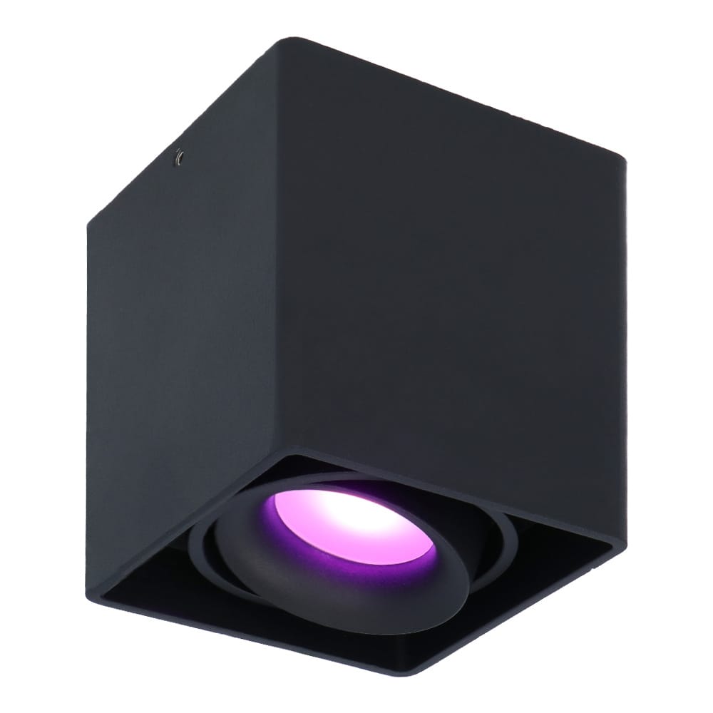 Esto smart Opbouwspot - Plafondspot - Kantelbaar - RGBWW - Wifi + Bluetooth - Google Home, Amazon Alexa en Siri - Zwart - Bestuurbaar via App en Stem afbeelding