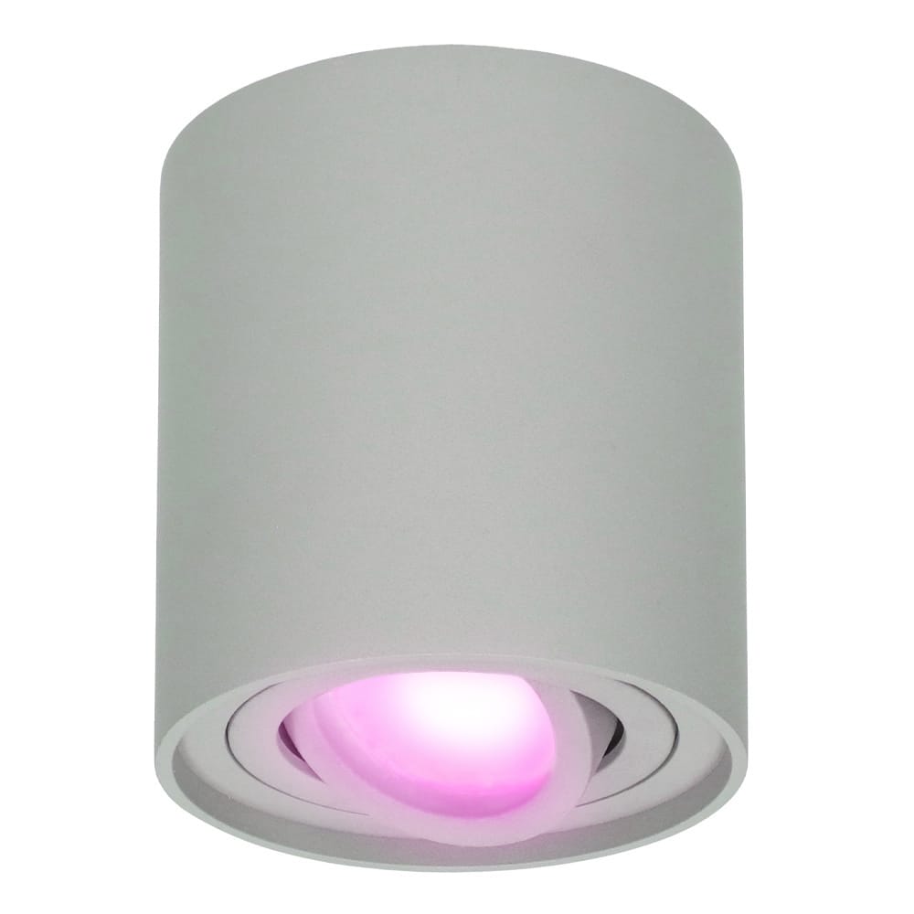 Ray smart Opbouwspot - Plafondspot - Kantelbaar - Rond GU10 - RGBWW - Wifi + Bluetooth - Google Home, Amazon Alexa en Siri - Grijs - Bestuurbaar via App en Stem afbeelding