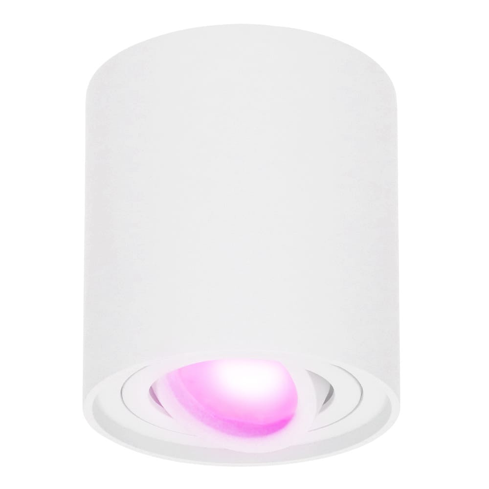 Ray smart Opbouwspot - Plafondspot - Kantelbaar - Rond GU10 - RGBWW - Wifi + Bluetooth - Google Home, Amazon Alexa en Siri - Wit - Bestuurbaar via App en Stem afbeelding