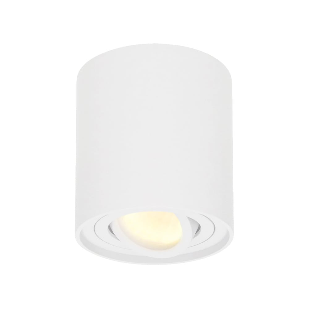 Ronde LED Opbouwspot Ray 4 Watt 345 lumen 2700K warm wit Kantelbaar GU10 Opbouwspot IP20 Voor binnen Wit Dimbaar