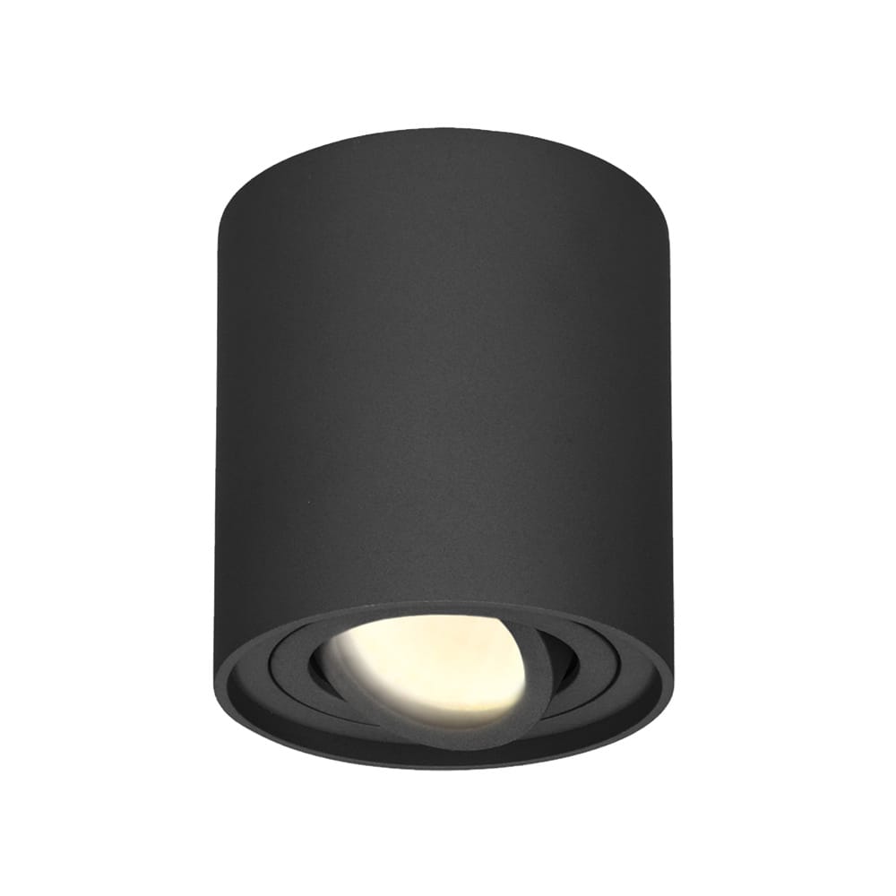 Ronde LED Opbouwspot Ray 4 Watt 345 lumen 2700K warm wit Kantelbaar GU10 Opbouwspot IP20 Voor binnen Zwart Dimbaar