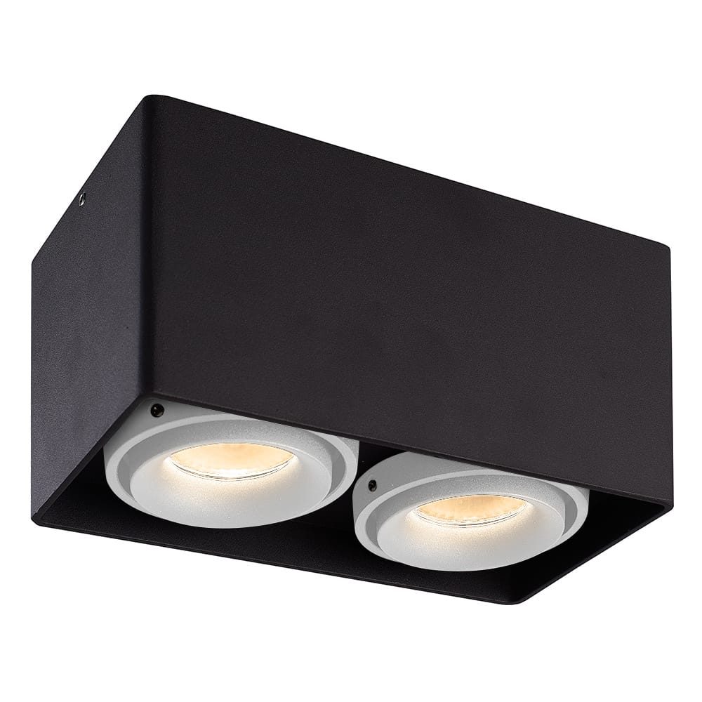 Dimbare LED Opbouwspot plafond Esto - 2 lichts - Zwart met witte afdekringen - 2 lichts kantelbaar - 4 Watt 2700K - voor droge ruimtes afbeelding
