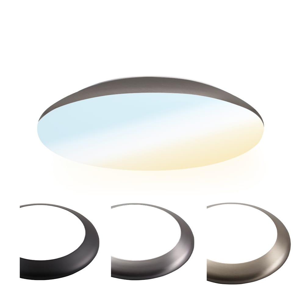 LED Bulkhead Diameter 25cm 12W 1300 lumen CCT Lichtkleur instelbaar IP65 waterdicht Vandalismeproof Plafonniere Voor binnen en buiten RVS