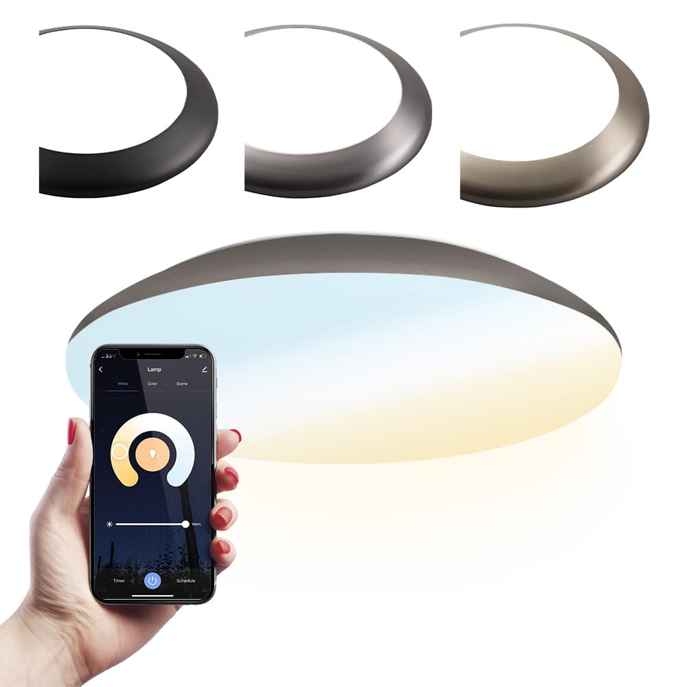 Smart plafondlamp - bulkhead - 18W 1800lm - Ø30cm - IP65 waterdicht - White ambience - Wifi + Bluetooth - Google Home, Amazon Alexa en Siri - RVS - Badkamerlamp afbeelding