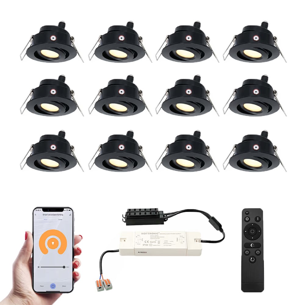 Set van 12 Sienna Smart LED Mini Inbouwspots - Veranda spots - 12V 3W 200lm - Dimbaar - Kantelbaar -
