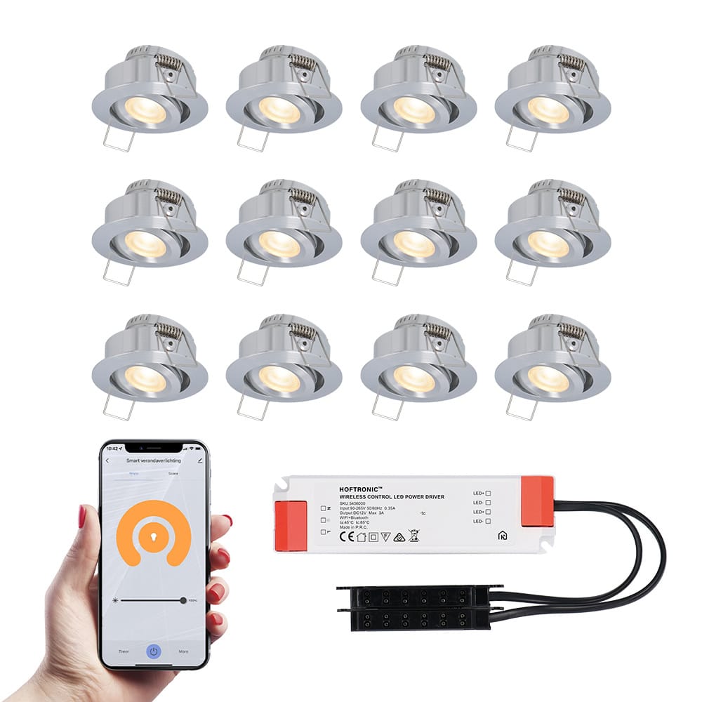 Set van 12 Sienna Smart LED Mini Inbouwspots - Veranda spots - 12V 3W 200lm - Dimbaar - Kantelbaar - Wifi & Bluetooth - 2700K - IP44 - RVS afbeelding