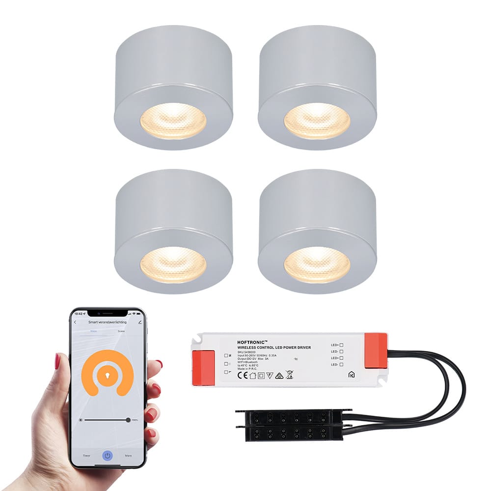 Set van 4 Navarra Smart LED Mini opbouwspots - Veranda spots - 12V 3W 200lm - Dimbaar - Wifi & Bluetooth - 2700K - IP44 waterdicht - RVS afbeelding