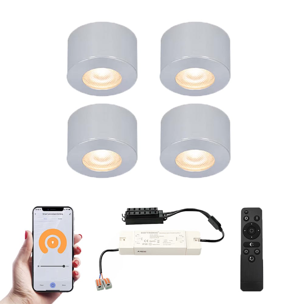 Set van 4 Navarra Smart LED Mini opbouwspots Veranda spots 12V 3W 200lm Dimbaar Wifi Bluetooth 2700K IP44 waterdicht RVS