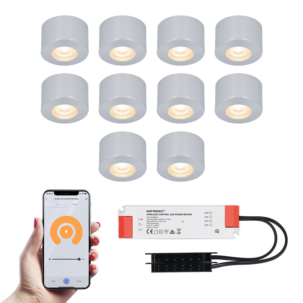 Set van 10 Navarra Smart LED Mini opbouwspots - Veranda spots - 12V 3W 200lm - Dimbaar - Wifi & Bluetooth - 2700K - IP44 waterdicht - RVS afbeelding