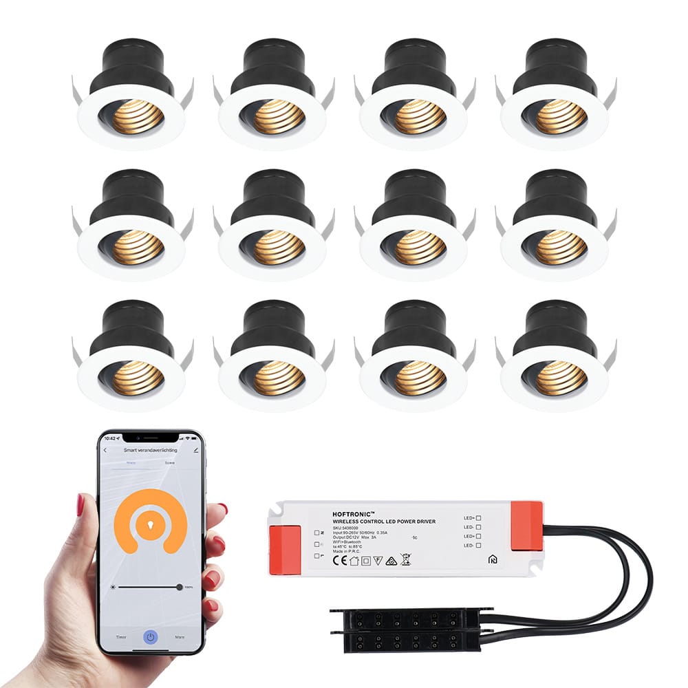 Set van 12 Medina Smart LED Mini Inbouwspots - Veranda spots - 12V 3W 150lm - Dimbaar - Kantelbaar - Wifi & Bluetooth - 2700K - IP44 - Wit afbeelding