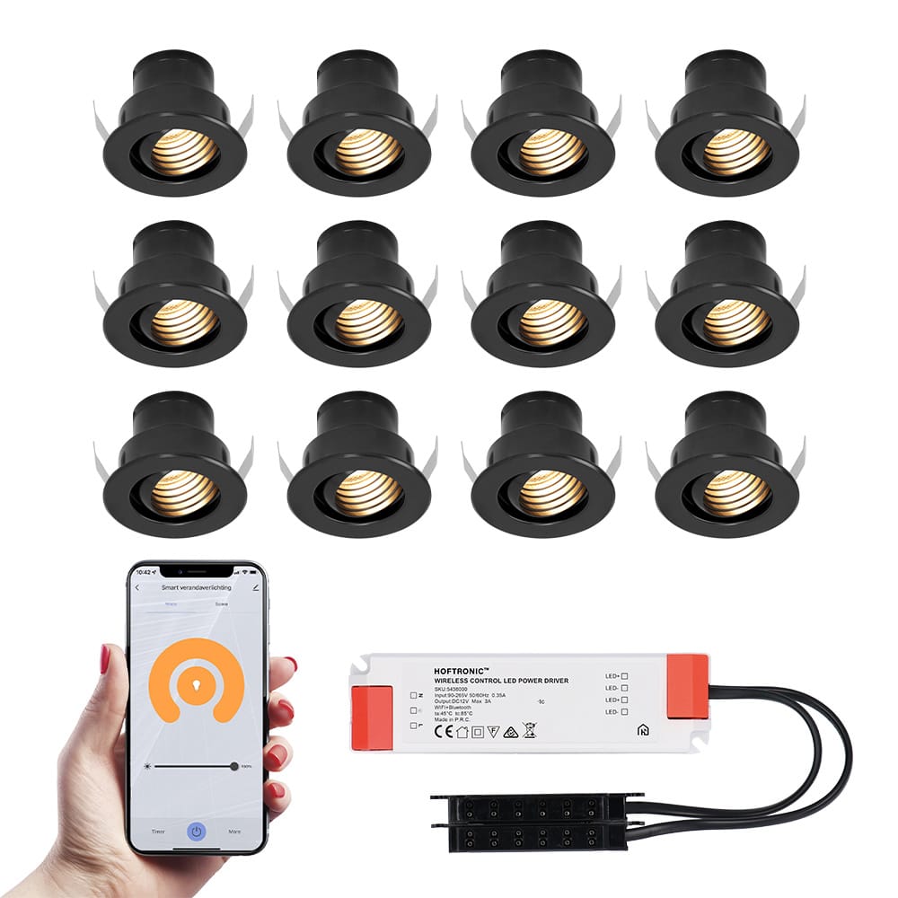 Set van 12 Medina Smart LED Mini Inbouwspots - Veranda spots - 12V 3W 150lm - Dimbaar - Kantelbaar - Wifi & Bluetooth - 2700K - IP44 - Zwart afbeelding