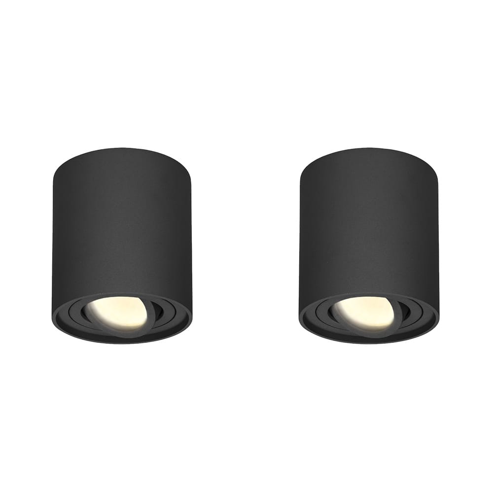 Set van 2 Ray LED opbouwspots - Rond - Dimbaar - 4 Watt 345 lumen - 2700K warm wit - Kantelbaar - GU10 - Plafondspot - IP20 Voor binnen - Zwart afbeelding