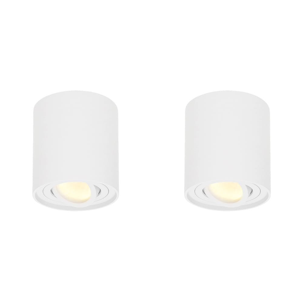 Set van 2 Ray LED opbouwspots Rond Dimbaar 4 Watt 345 lumen 2700K warm wit Kantelbaar GU10 Plafondspot IP20 Voor binnen Wit