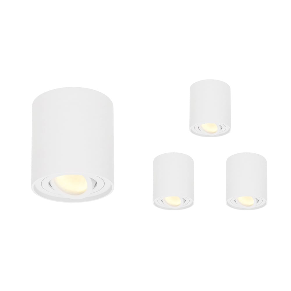 Set van 4 Ray LED opbouwspots - Rond - Dimbaar - 4 Watt 345 lumen - 2700K warm wit - Kantelbaar - GU10 - Plafondspot - IP20 Voor binnen - Wit afbeelding