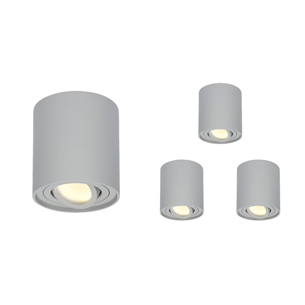 Set van 4 Ray LED opbouwspots - Rond - Dimbaar - 4 Watt 345 lumen - 2700K warm wit - Kantelbaar - GU10 - Plafondspot - IP20 Voor binnen - Grijs afbeelding