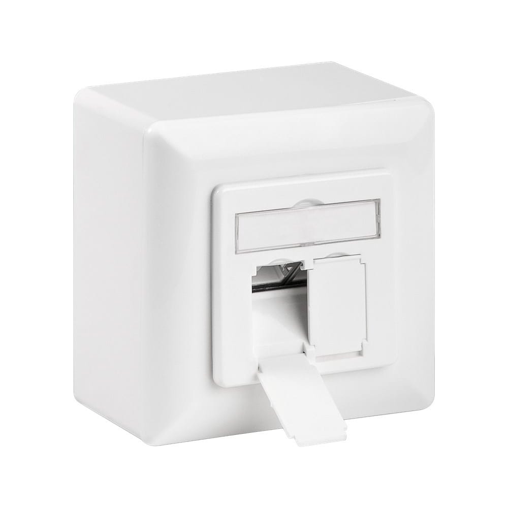 RJ45 Wandcontactdoos Opbouw - 2x RJ45 - CAT6 - Incl. Afdekraam - Afgeschermde Netwerkdoos - 10 Gigabit - Wit afbeelding