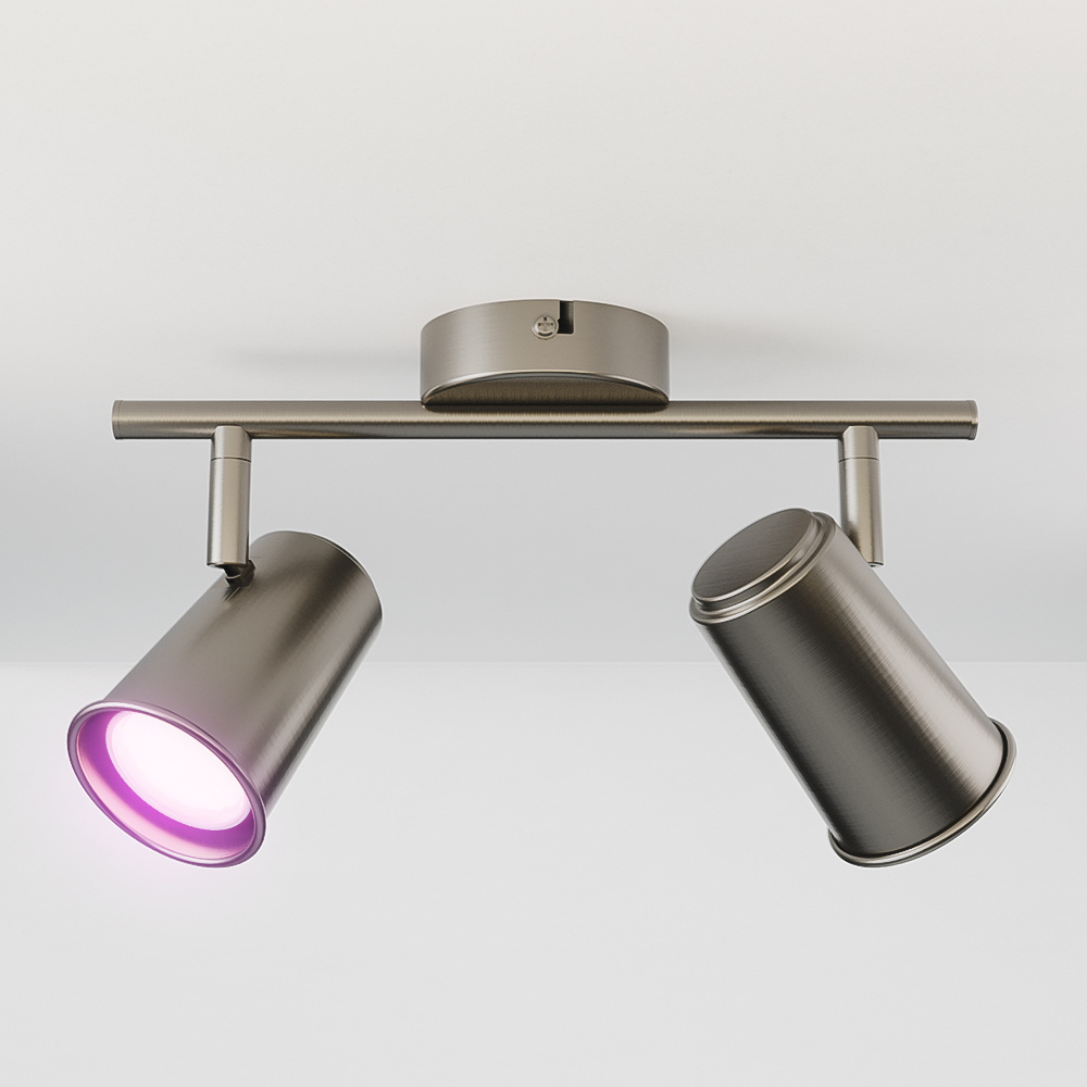 Riga Smart Ceiling Light 2 lights 10W 800lm RGBWW Tiltable P20 Stainless steel