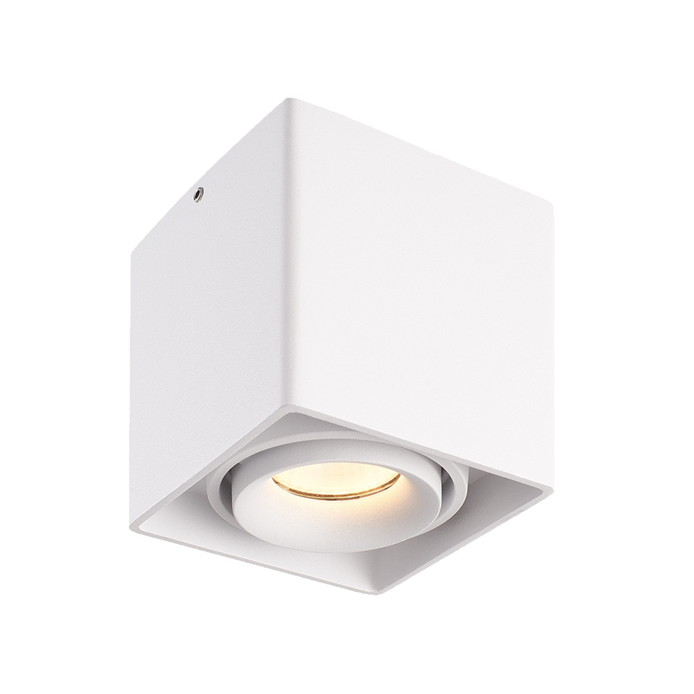 Esto LED Aufbaustrahler - Schwenkbar - Dimmbar - 4W 345lm - 2700K - GU10