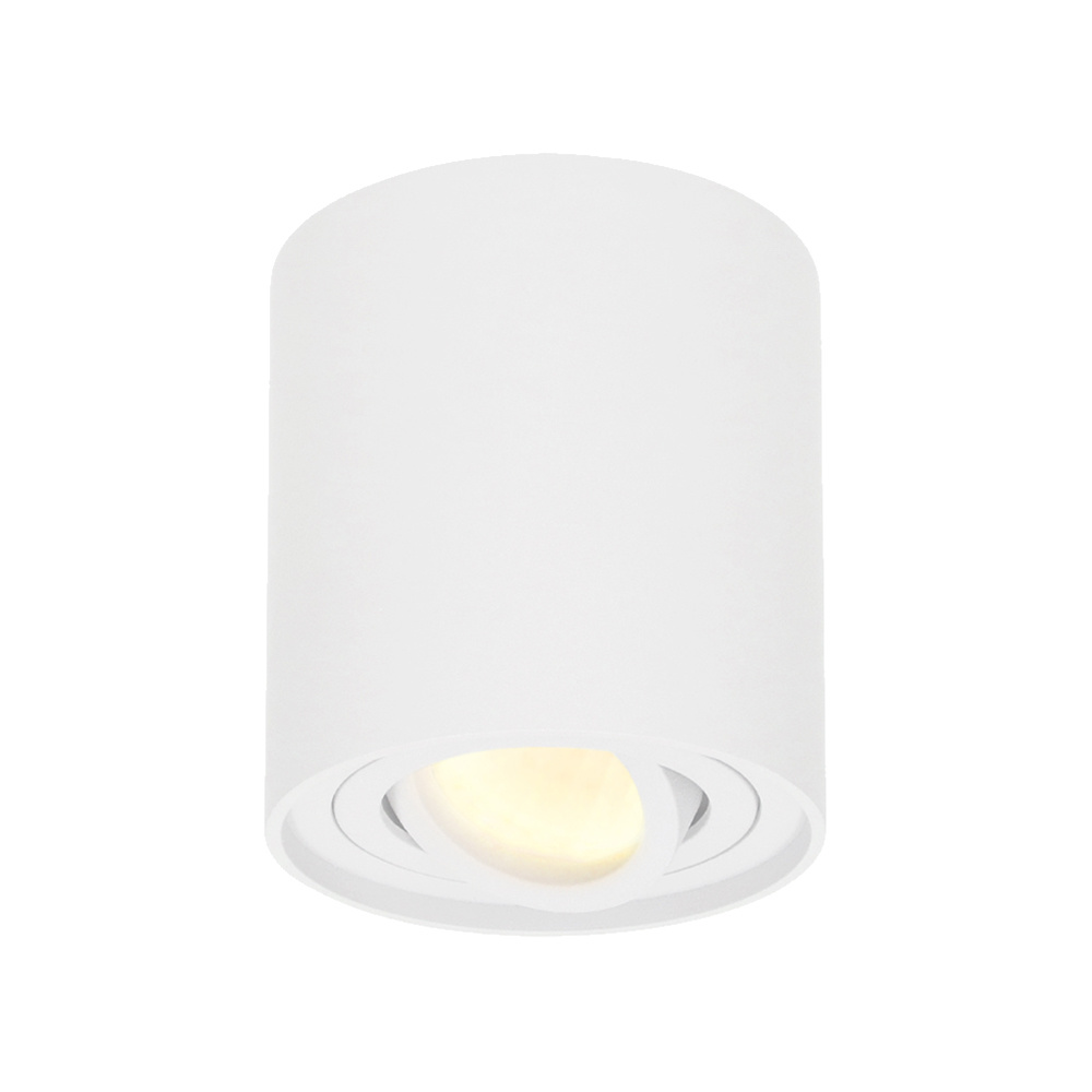 Ray LED Opbouwspot - 4W 345lm - Kantelbaar - 2700K - IP20 - Dimbaar - GU10